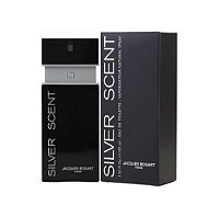 Perfume Jacques Bogart Silver Scent Masculino 100ml