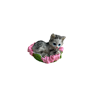 Ornamento de Mesa Gato Poses