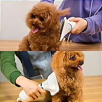 Escova Secadora Pet 2 em 1 Seca Remove Pelos Cachorro Gato Profissional 110V