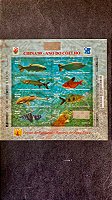 Bloco - China 99 - Ano do Coelho - Brasil 1999