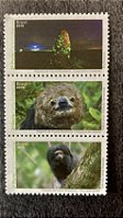 Serie de Selos do Brasil - Riqueza da Fauna Brasileira - Brasil 2019 - Mint