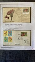 Folha de Exposição de Selos - Orquideas - com Protetores   (ref.418)