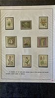 Folha de Exposição de Selos - Orquideas - com Protetores   (ref.420)