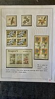 Folha de Exposição de Selos - Orquideas - com Protetores   (ref.422)