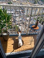 Deck modular plástico 30x30 - 01 unidade BEGE