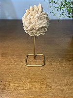 Rosa do deserto (com pedestal)