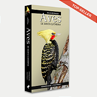 Guia de Identificação: Aves de Santa Catarina