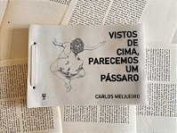 Vistos de cima, parecemos um pássaro - Carlos Meijueiro