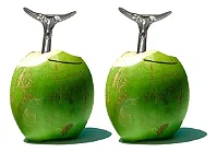 Kit 2 Furador de Coco Cara de Boi Abridor em Alumínio Batido