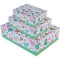 Caixa para Presente com Tampa MD 26X19X7,5 (S) PCT.C/16