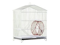 Gaiola Chinchila Parque Epoxi