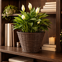 Cachepô Cesta Vime Plástico Colibri 3,98 Litros 23 cm Tabaco