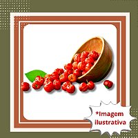 Muda de Acerola Clone – Produção Rápida, Rica em Vitamina C e Muito Produtiva