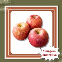 Muda de Maçã Fuji Enxertada – Frutos Doces, Crocantes e de Alta Qualidade