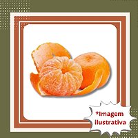 Muda de Mexerica Rio – Frutos Doces e Produção Rápida