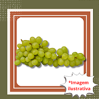 Muda de Uva Niágara Branca Enxertada – Doce, Aromática e Fácil de Cultivar