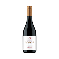 VAR BENEGAS SINGLE VINEYARD LIBERTAD SANGIOVESE TT750