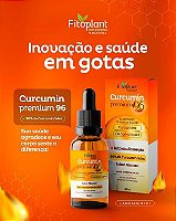CURCUMIN PREMIUM 96 30ml (CÚRCUMA)