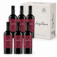 Kit Com 6 Garrafas — Vinho Luigi Bosca Malbec 750ml