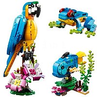 Papagaio exótico Blocos de Montar Creator 3 em 1