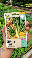 Sementes de Cebolinha Verde
