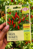 Sementes de Pimenta Malagueta para Plantio