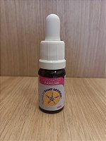Floral de Saint Germain Integração Familiar 10ml