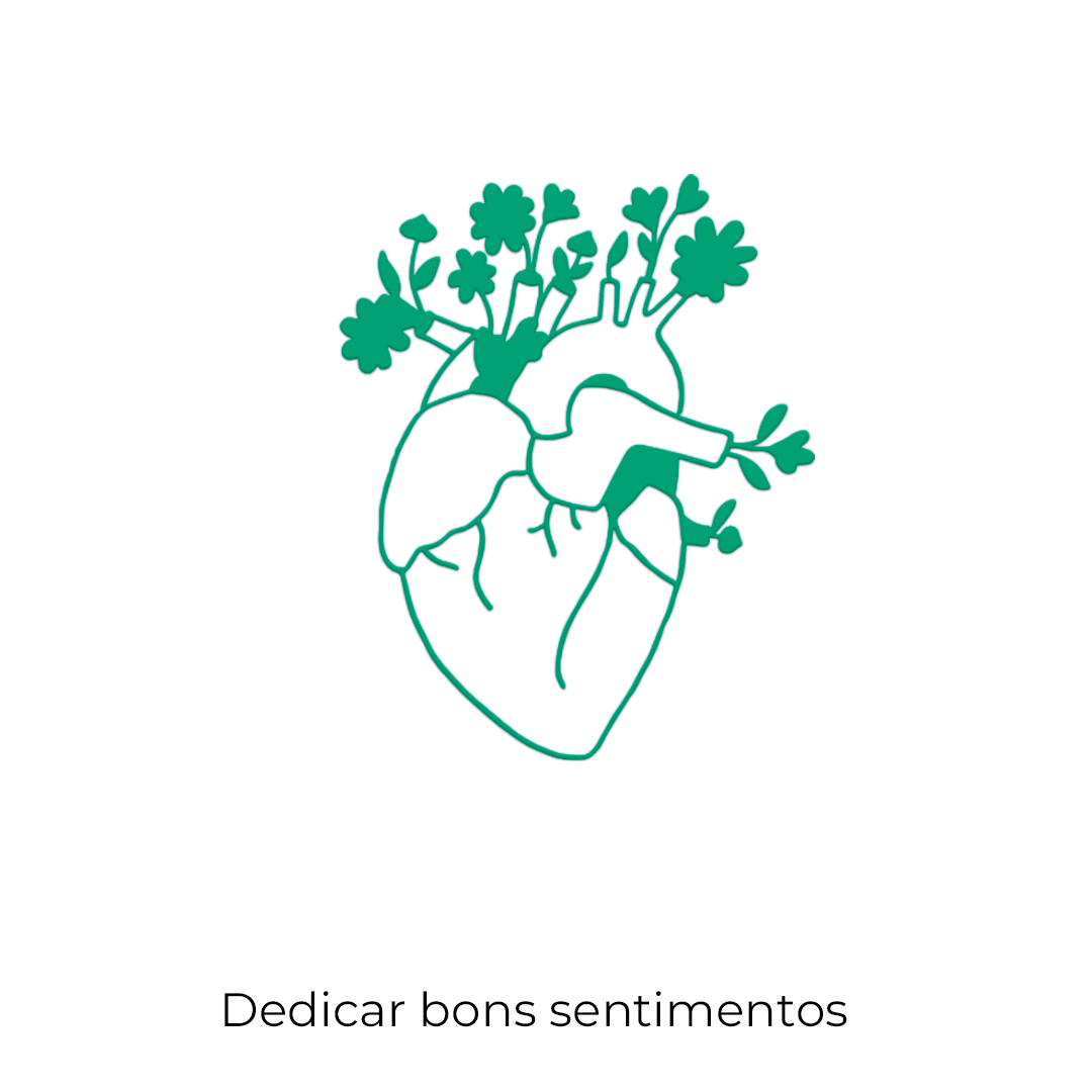 Imagem 9