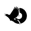 Logo de Blackbird Discos