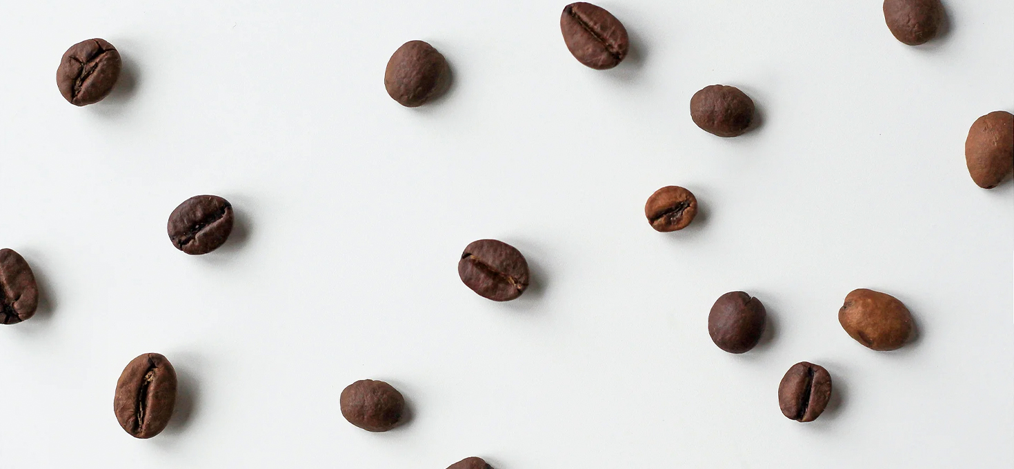 Como é Feito o Café?