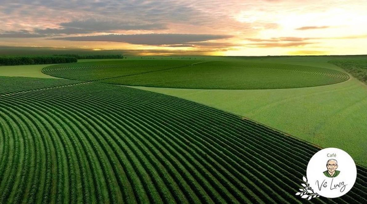 Fazenda Vo Luiz