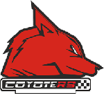Coyote