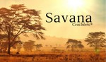 Savana