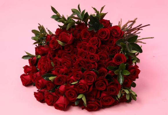 Rosas Vermelhas
