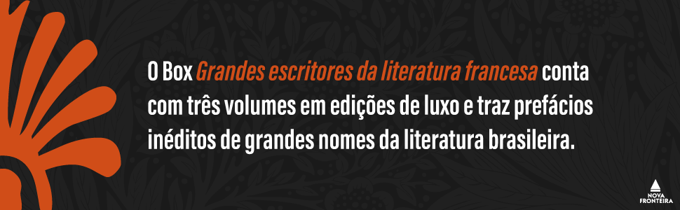 Box Grandes escritores da literatura francesa - Loja Nova