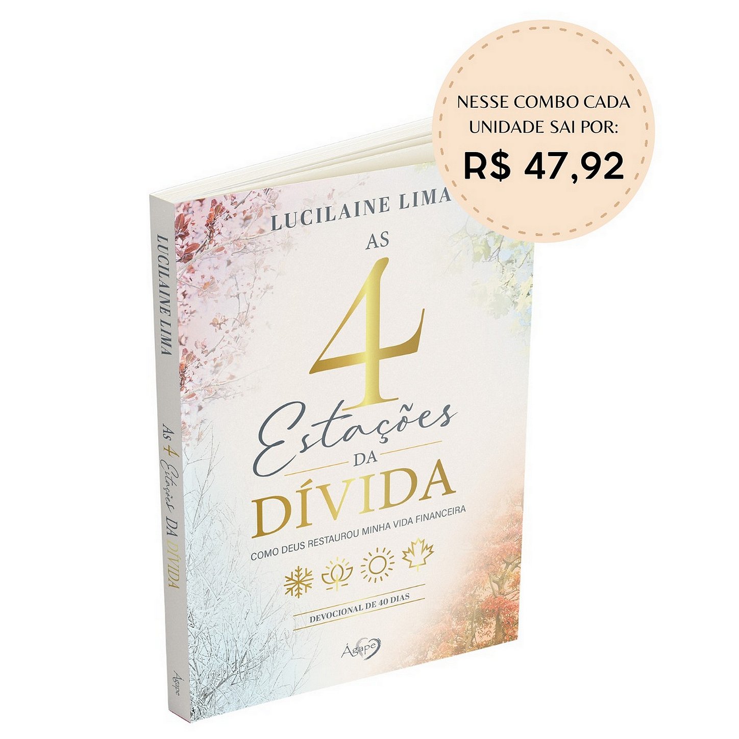Combo com 3 livros As 4 Estações da Dívida