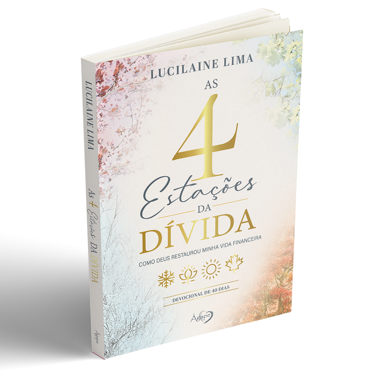 Livro As 4 Estações da Dívida, de Lucilaine Lima