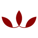 Logo de @UseCastanha