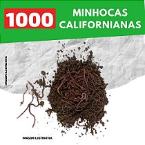 Minhocas Vermelhas Californianas 1.000 unidades