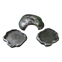 Kit 021 Jabuti Filhote Artexotics