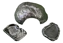 Kit Jabuti Filhote Kit 003 Artexotics