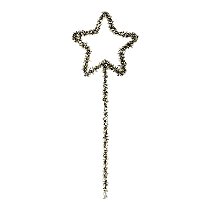 Varinha de Condão ou Galho Estrela