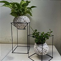 KIT 2 KOKEDAMAS JIBOIA BRANCA + PEPEROMIA HOPE C/ SUPORTE