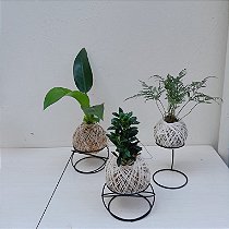 TRIO DE KOKEDAMAS PACOVÁ, RENDA, PEIXINHO + SUPORTE 2 REDONDO 1 COADOR