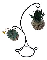 KIT 2 MINI KOKEDAMAS DE SUCULENTA COM SUPORTE 2 GANCHOS