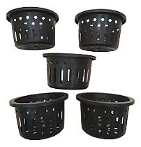 Kit 40 Vasos Vazado Preto Orquídea Vanda Stanhopea 15cm