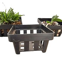 Kit 5 Vasos Vazados Pequenos 10cm Vanda Mini Micro Orquídeas