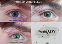 FRESHLADY WILDCAT ANUAL/PAR