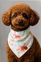 Bandana  Pet - HIBISCOS ROSA
