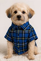XADREZ AZUL 01 - Camisa de Cachorro